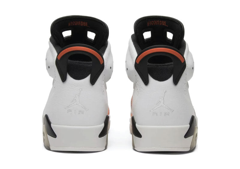 Air Jordan 6 Retro Gatorade